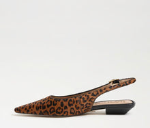 Sam Edelman Netty Slingback Flat in Leopard Print Brahma Hair