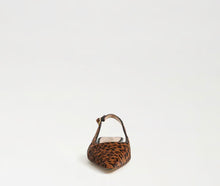 Sam Edelman Netty Slingback Flat in Leopard Print Brahma Hair