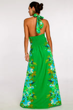 Elizabeth James The Label Aubrey Dress in Hula