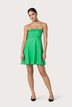 Lusana Talia Pintuck Linen Mini Dress in Kelly Green